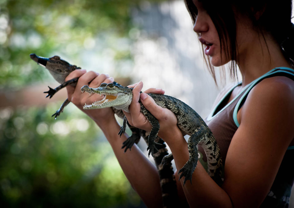 Miami Everglades Airboat Tour Image 7