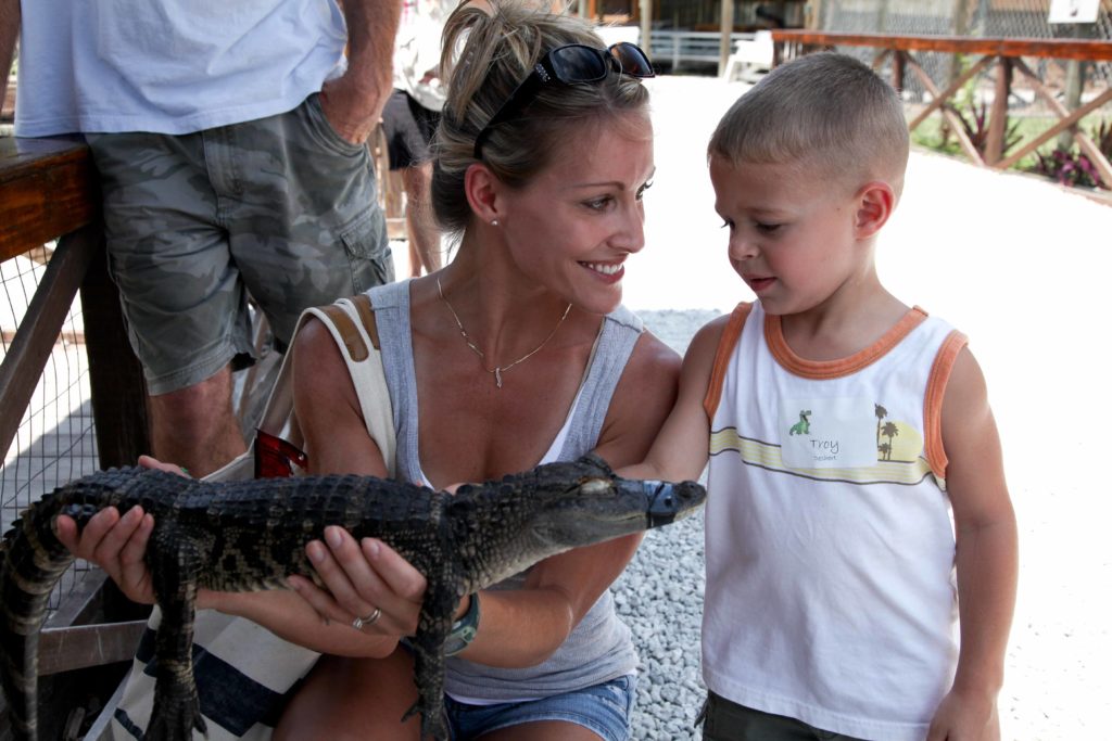 Miami Everglades Airboat Tour Image 4