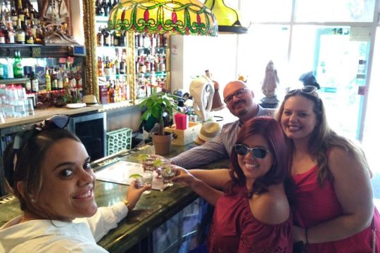 Private Little Havana Tour Cuban Guide, Museum Food Performing Arts Galleries