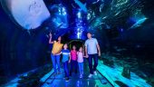 Good family time filler activity