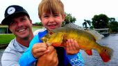 Peacock Bass