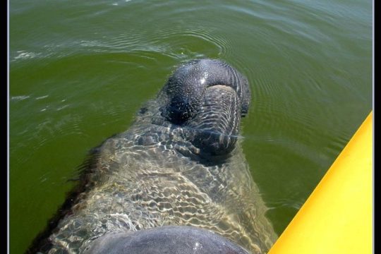 New Year’s Eve in Everglades National Park
