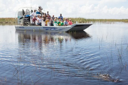 Miami: Millionaire Homes Cruise City Tour+Everglades Airboat Ride