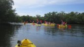 Relaxing Paddle