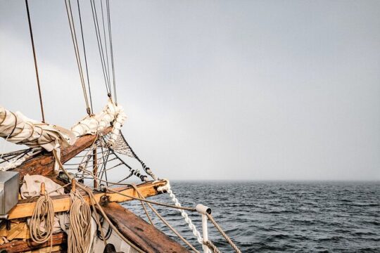 1-Hour Interactive Pirate Cruise in Ft. Lauderdale (arrive 30 minutes early)
