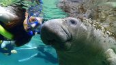 A must do tour for any trip to Florida 