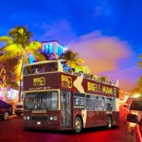Bus & Minivan Tours