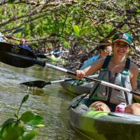 Holiday & Seasonal Tours