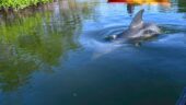 Excellent Family Ecotour!