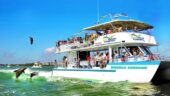 Dolphin tour
