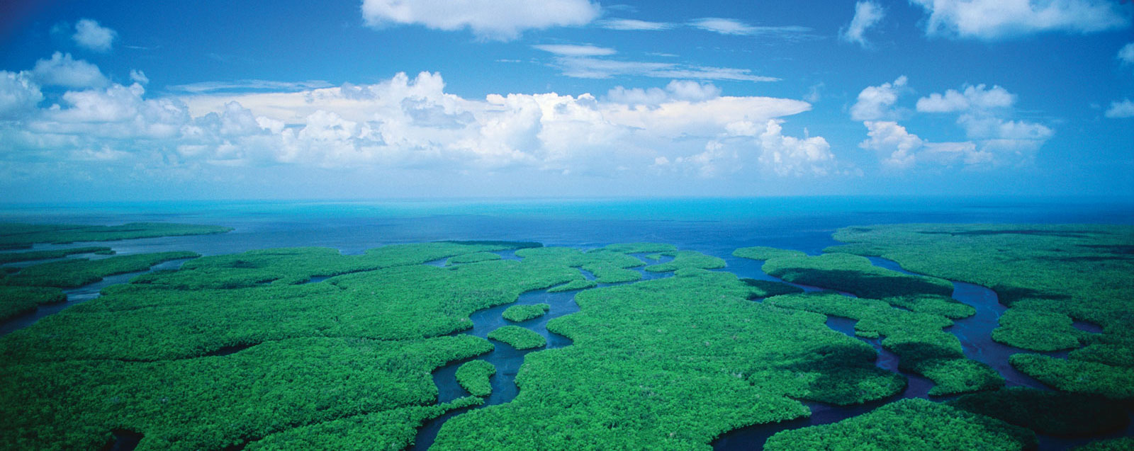 Top Picks for an Orlando Everglades Airboat Adventure (Updated July 2026)