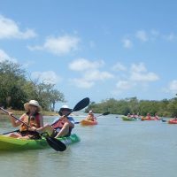 Boat Tours