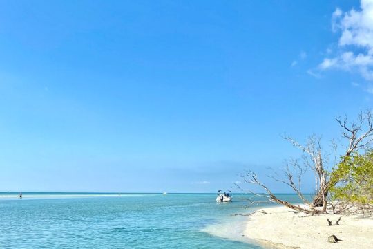 Half-Day Private Tiki Boat Beach Tour from Fort Myers