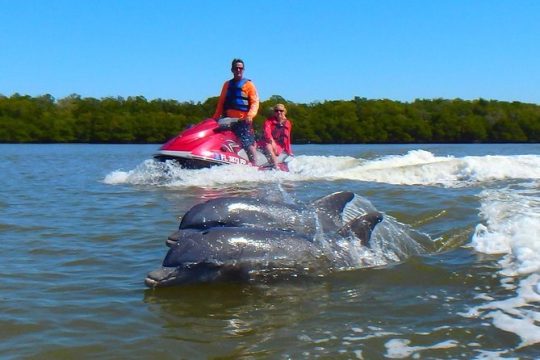 Avi's Premium Dolphin Tour by Jet Ski