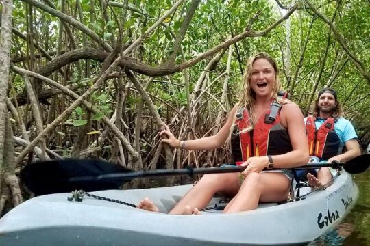 Mangrove Tunnel, Manatee and Dolphin Kayak Tour of Cocoa Beach