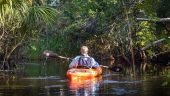 Going inside Everglades