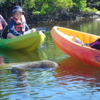 Eco Tours