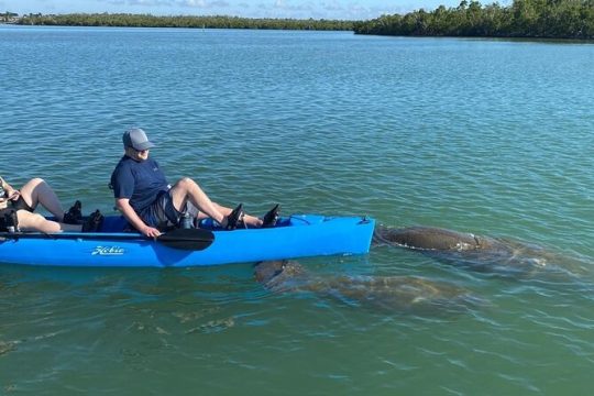 Kayak Tour Adventure Marco Island and Naples Florida