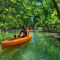 Eco Tours