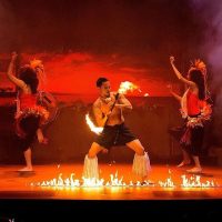 Shows, Concerts & Sports
