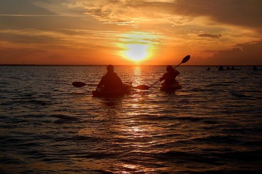 Sunset Bioluminescence Tour