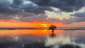 Incredible Sunset Airboat Ride to see the Crocs 
