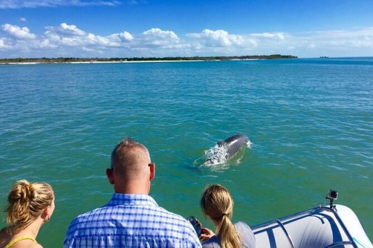 Ten Thousand Islands Boat Tour up to 12 people