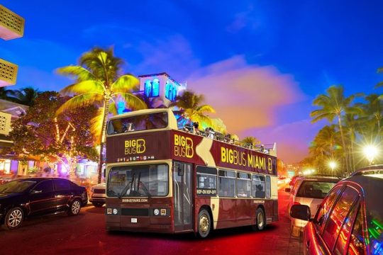 Big Bus Miami Night Tour