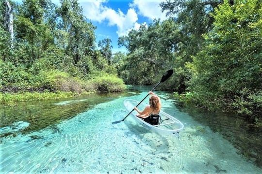 2-Hour Glass Bottom Guided Kayak Eco Tour in Rock Springs (Small-Group)