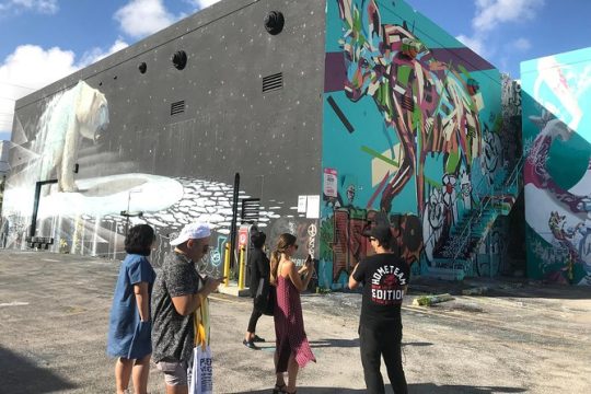 Miami's Best Graffiti Guide - Wynwood - Squad Safari - 2-9ppl