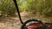 Go see Leo at Bamboo Dune buggy 