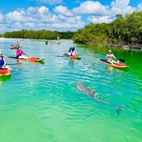 Water Sports