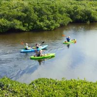 Holiday & Seasonal Tours