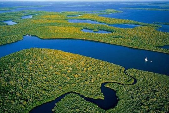 Private 4-Hour Exciting Everglades Tour