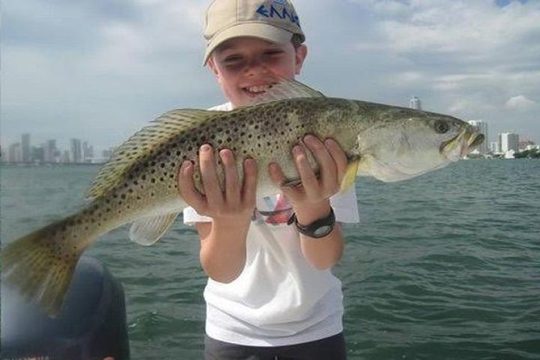 6-hour Miami Inshore Fishing trip