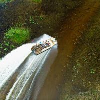 Shore Excursions