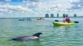 Great value, great kayak tour, great guide!