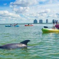 Kayaking & Canoeing