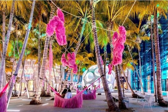 VIP Hidden World of Miami Design District