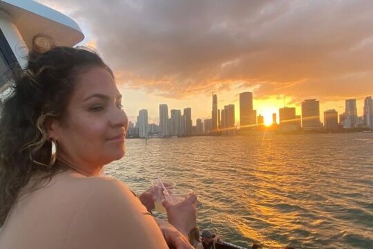 Miami Skyline 90 Min Evening Cruise on Biscayne Bay