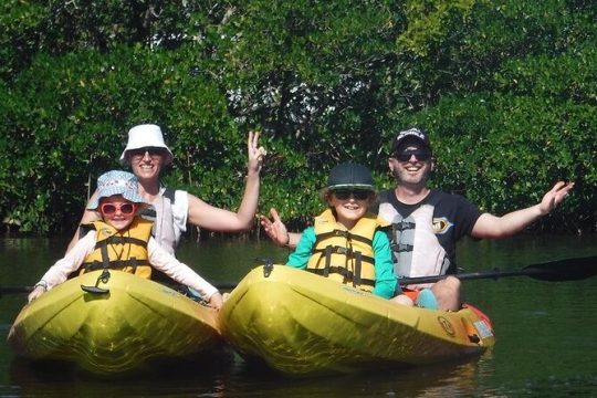 Guided Kayak Eco Tour in Pelican Bay