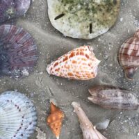 Holiday & Seasonal Tours