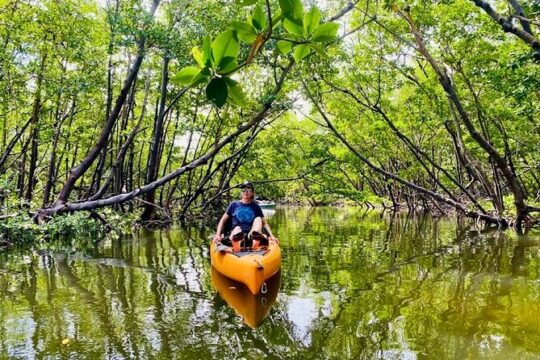 Deluxe Kayak Tour Marco Island and Naples, Florida