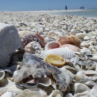Photography Tours