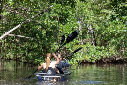 Kayak Tour in North Miami Beach - Mangrove Tunnels