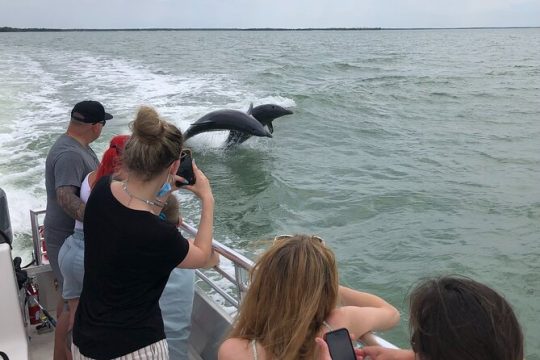 10,000 Islands Boat Excursion - 3.5-Hour Dolphins & Shelling Tour; Cape Romano!