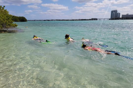 Island Snorkeling By Kayak or Paddle board in North Miami