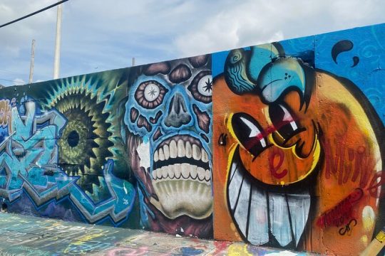 Little Havana and Wynwood Walls District Guided Tour