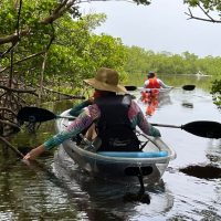 Boat Rentals