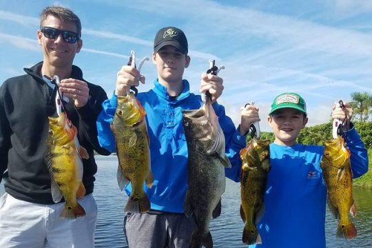 Peacock Bass Fishing Trips Near Key Largo